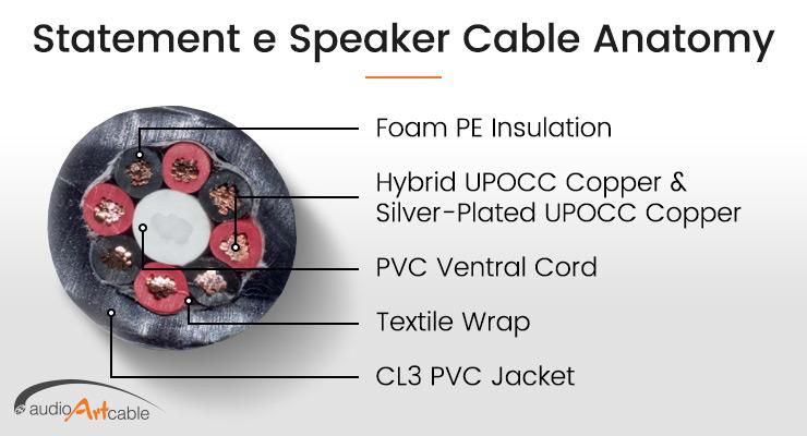 Statement e Cable Anatomy